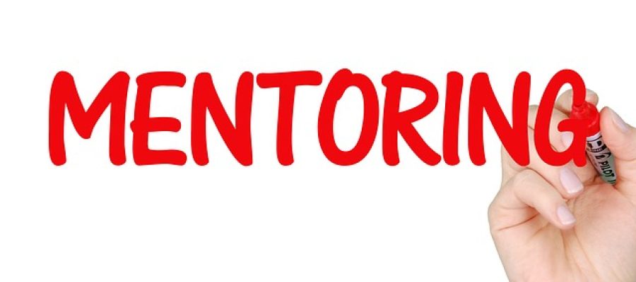mentoring-g30427aa67_640-1